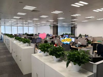 喬遷大吉！級掌柜新辦公空間全面揭秘，科技與舒適完美融合